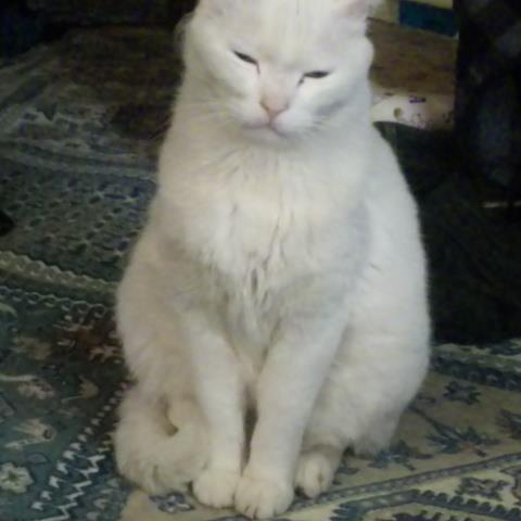 mgmgreo909's profile picture. TOSHIRO MIYAGASAKO
School janitor Part-time farmer
center of rice production
Investor