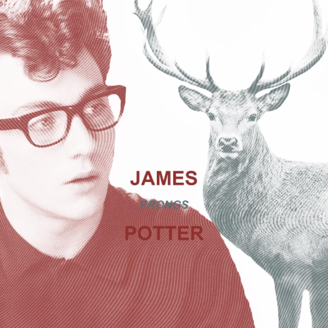 Prankster extraordinaire, living the high life with my brothers at a magical school... What could be better | Marauder Era. | AU Themes |