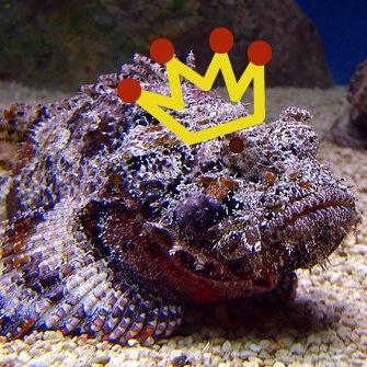 Fear not, friends, for King StoneFish is man enough to share his glory!.. and a few laughs as well.