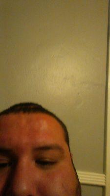 hollyboy562's profile picture. 