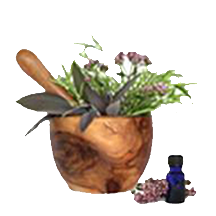 OliveSeedLLC's profile picture. Natural and Holistic Wellness Services