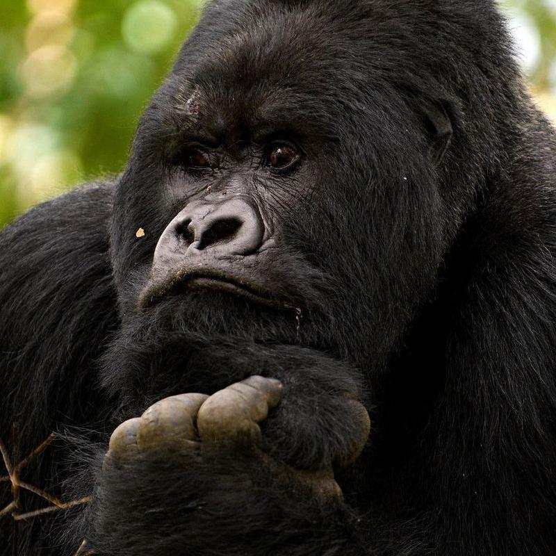 pshentsoff's profile picture. Мнение автора может не совпадать с его точкой зрения.