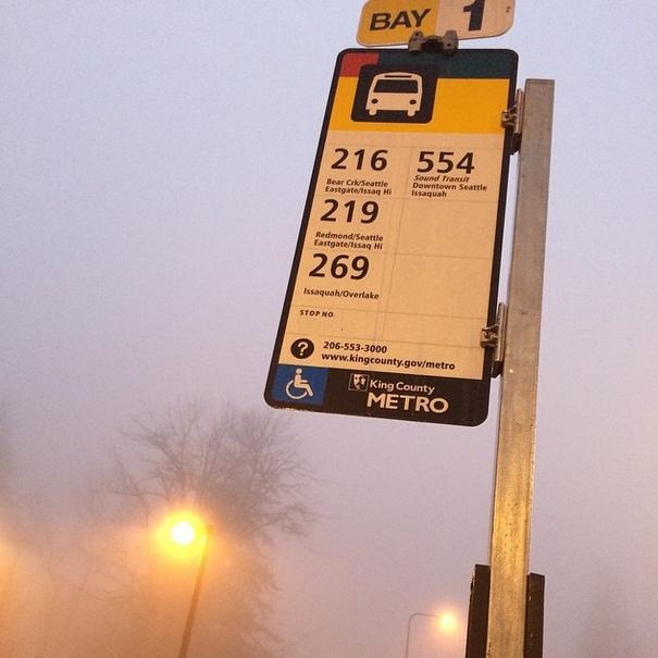 I take the bus. I'm a bus rider.