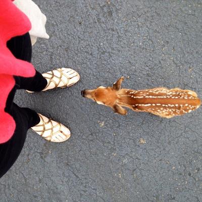 Profile Picture of Jillian Alonzo (@jillian_alonzo) on Twitter