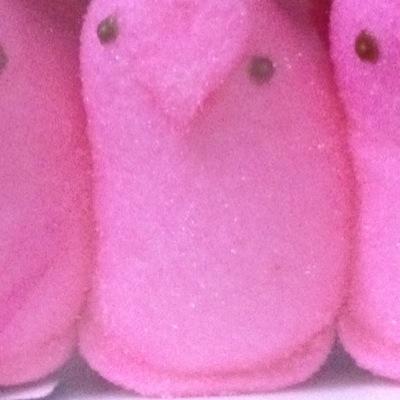 wickedpointy's profile picture. 