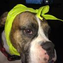 todd e earl - @todd_earl - Twitter