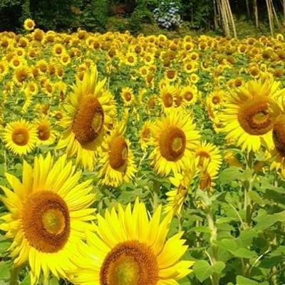 相続&終活に関する情報をお届けします。