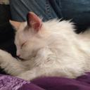 Melody Russell - @SierraKitten - Twitter