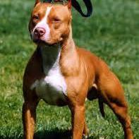 sjuanfelipesan1's profile picture. 