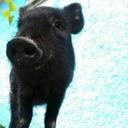 Luis Cedillo - @YoLuisCedillo - Twitter