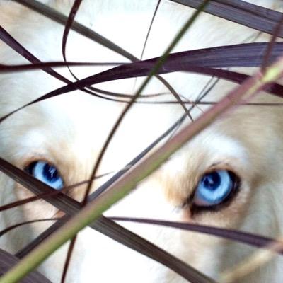 AnotherKelly's profile picture. Always never quite right.