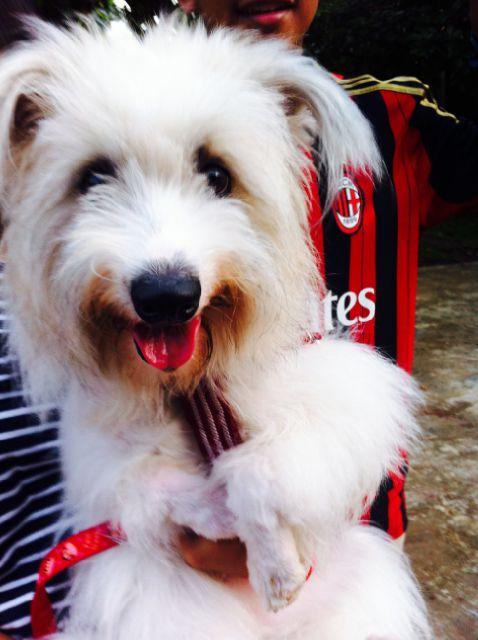 @depokdoglovers