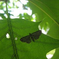 Des émotions (@emotions) 's Twitter Profile