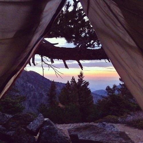travel and let life take you anywhere.