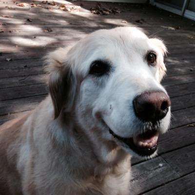 rubyM522NJ's profile picture. 