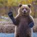 Martin Minkov (@greenliketrees) Twitter profile photo
