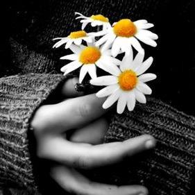 sarebear_jane's profile picture. 