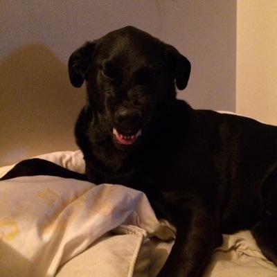 rascalweir's profile picture. 