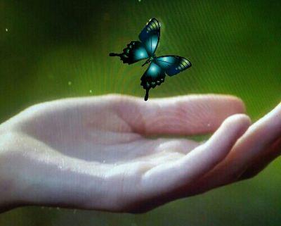 HossainKonica's profile picture. 