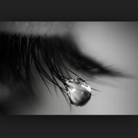 לב שבור (@lev12341) 's Twitter Profile Photo
