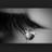 lev12341's profile image