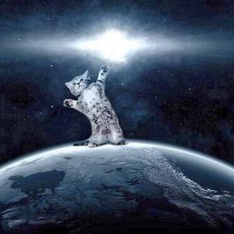 xNollies's profile picture. Biller