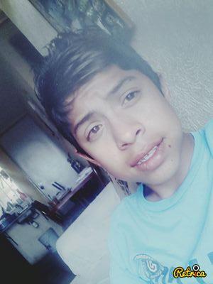 soy lo que todas buscan 
bitches