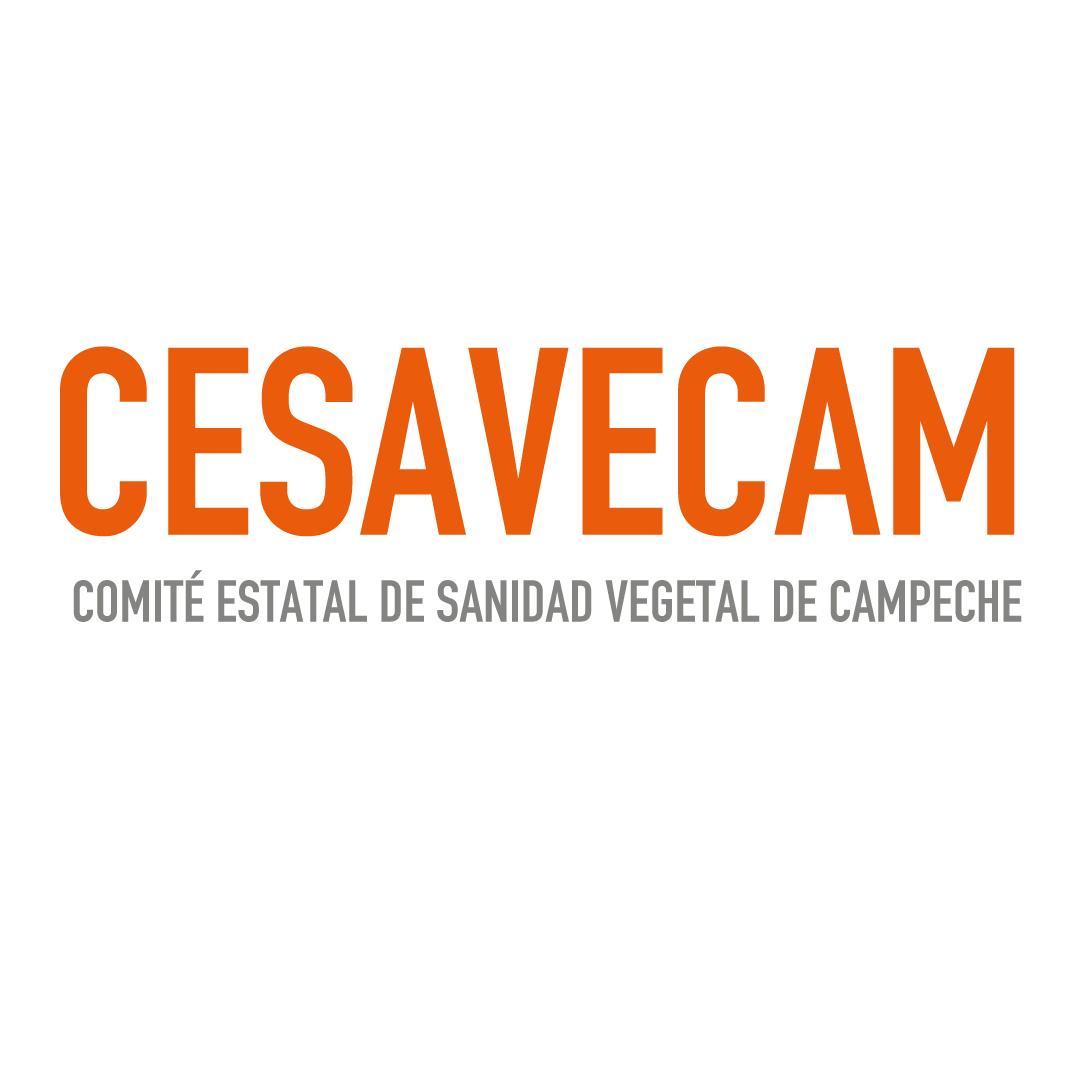 El Comité de Sanidad Vegetal del Estado de Campeche, atiende campañas fitosanitarias de prioridad nacional y regional para beneficio de los productores.