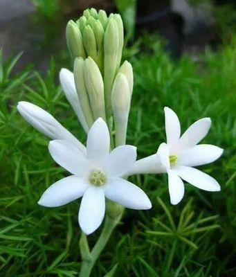 fcec2c0cbc544e0's profile picture. 