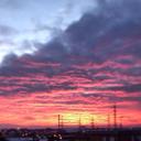 anna semeraro  - @luna19812 - Twitter