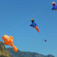 Ashley Ware-Lane (@kiteflyerash) 's Twitter Profile