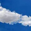 SharmaK888's profile picture. 