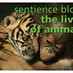 Lives of Animals (@livesofanimals) Twitter profile photo