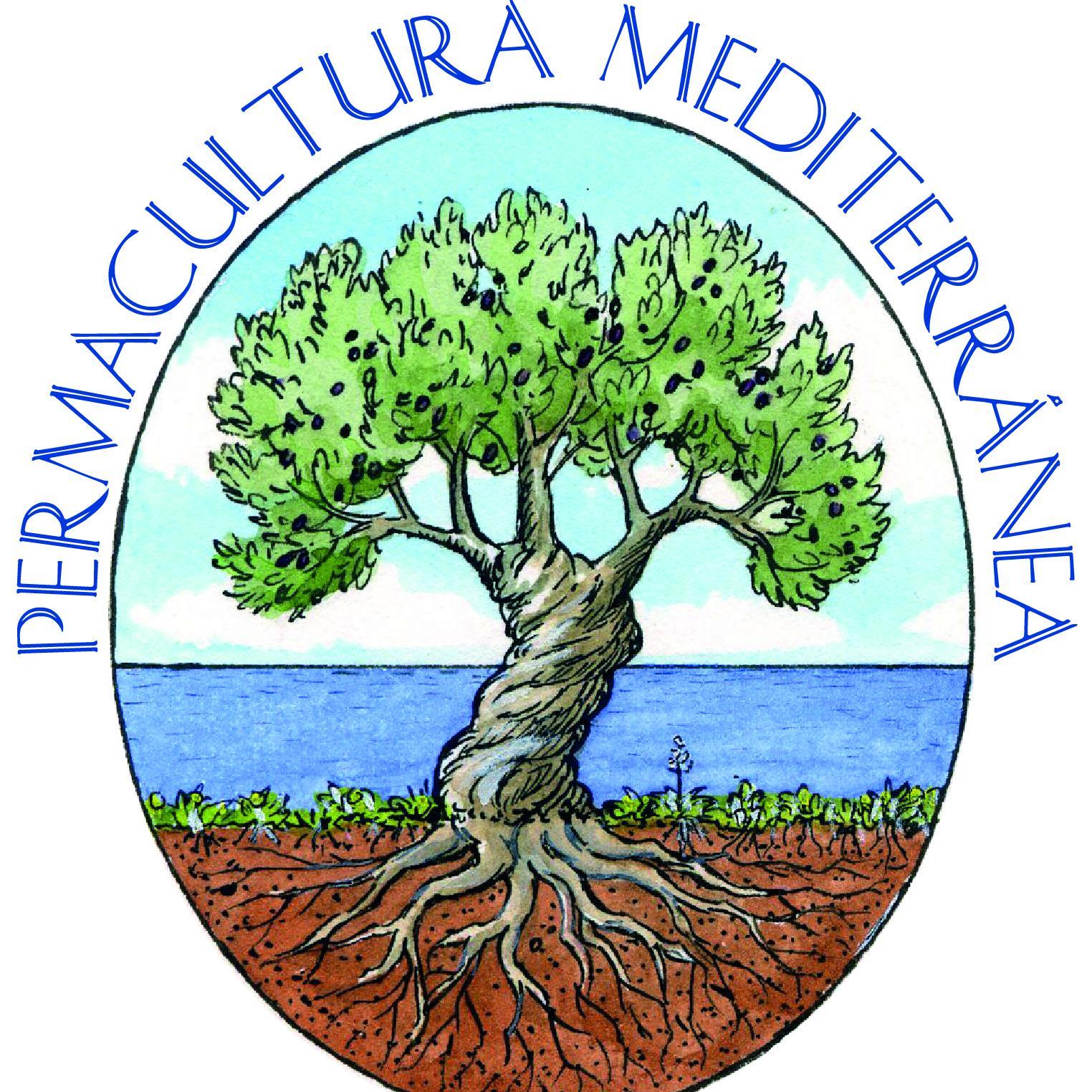 Perma_Med's profile picture. 