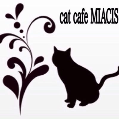 Cat Cafe Miacis Cmiacis Twitter Cat Cafe Miacis Cmiacis Twitter