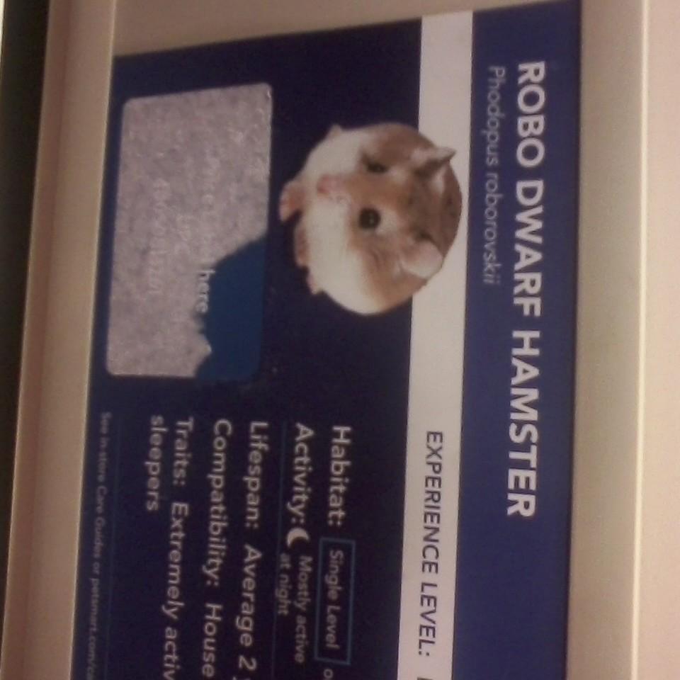 BarbecueShadows's profile picture. just killing time between stress dreams