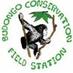 BCFS (@budongochimps) Twitter profile photo BCFS (@budongochimps) Twitter profile photo