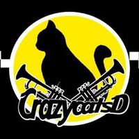 CRAZY CATS DANCE (@crazycatsband) 's Twitter Profile