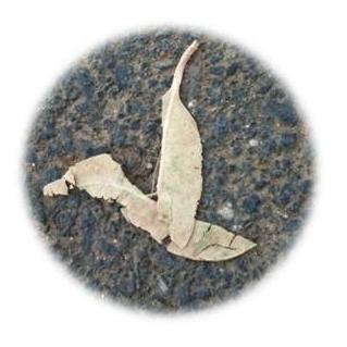 guidancecards's profile picture. 