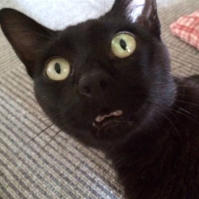 東京。小さいベンチャー企業作りました 職種関係なく色々とビジネスの繋がりや情報交換出来たら嬉しいです