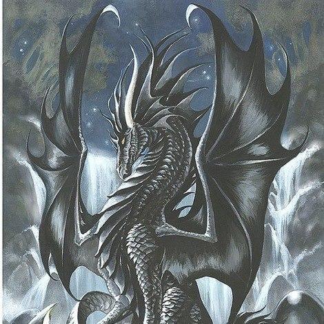 DragonWTFan