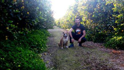Triatleta | Encontrando placer en el sufrimiento.