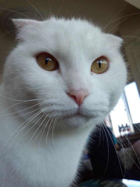 fujii1968's profile picture. 