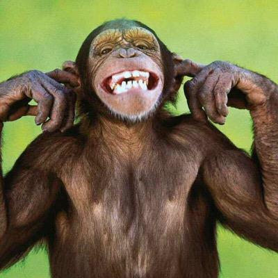 Moonkeyyyy's profile picture. 