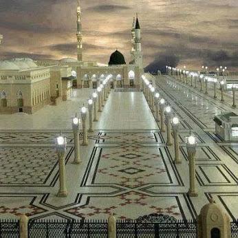 rayanhaider925's profile picture. 