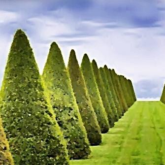 #GARDEN  #GARDENS  #GARDENDESIGN  #GARDENDESIGNER  #THEGARDENDESIGNER  #FORMALGARDENS  #FRENCHGARDENS #ENGLISHGARDENS  #JAPANESEGARDENS  #GARDENANTIQUES