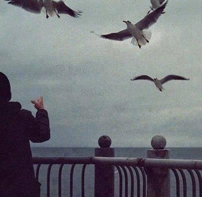 ‏‏اذا جف الاهتمام اصبح الرحيل واجب لايؤجل