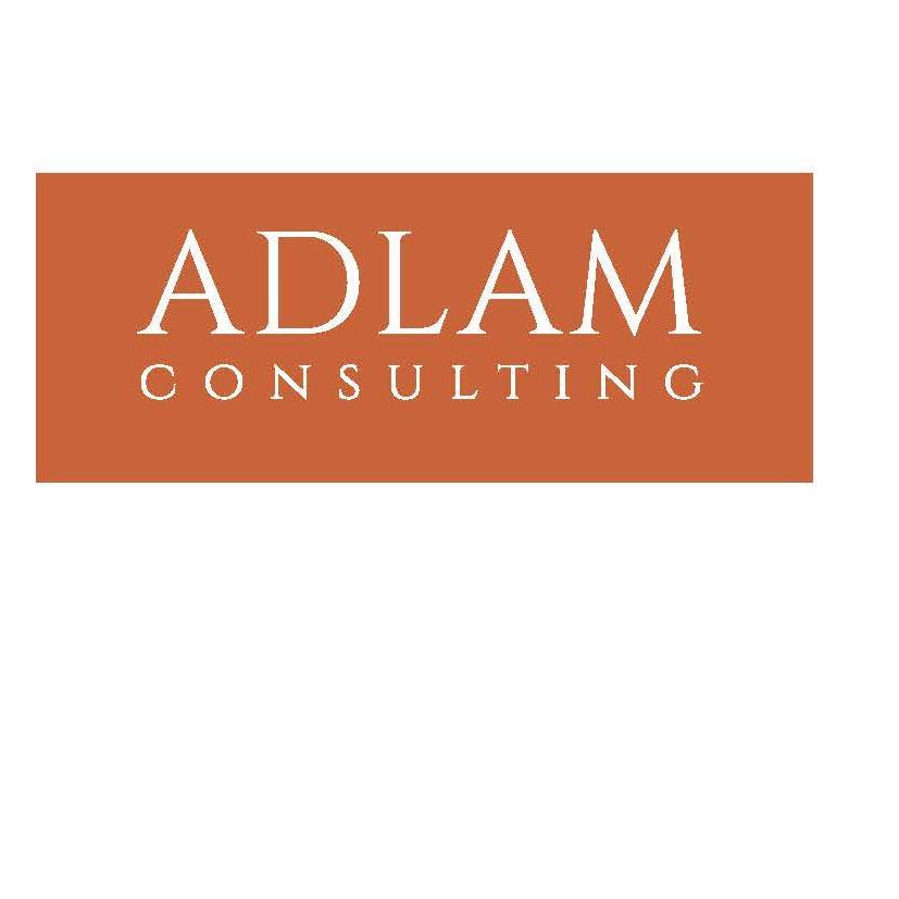 Adlam Consulting Recruitment Agency - IT Specialists in Investment Banking