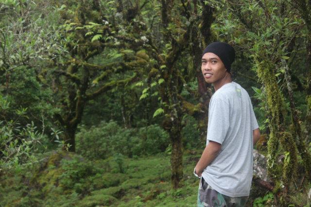 DulTekaje's profile picture. 