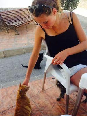 alicewilliams65's profile picture. 